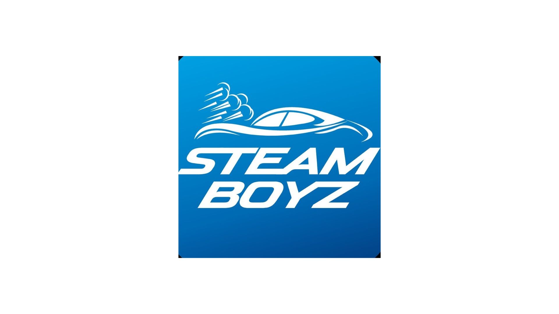 SteamBoyz Detailing