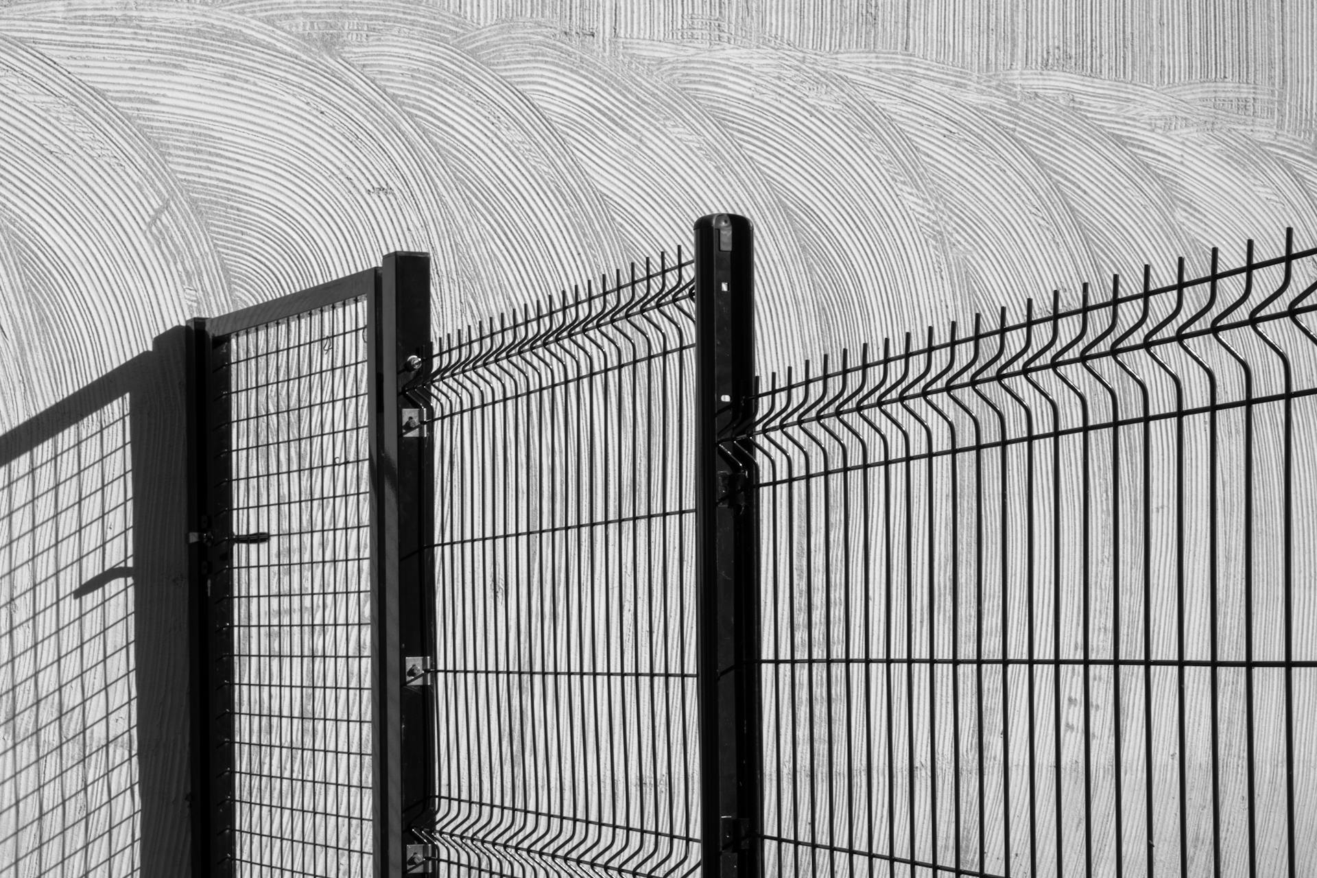 Fencing & Gates by Alex Bayne