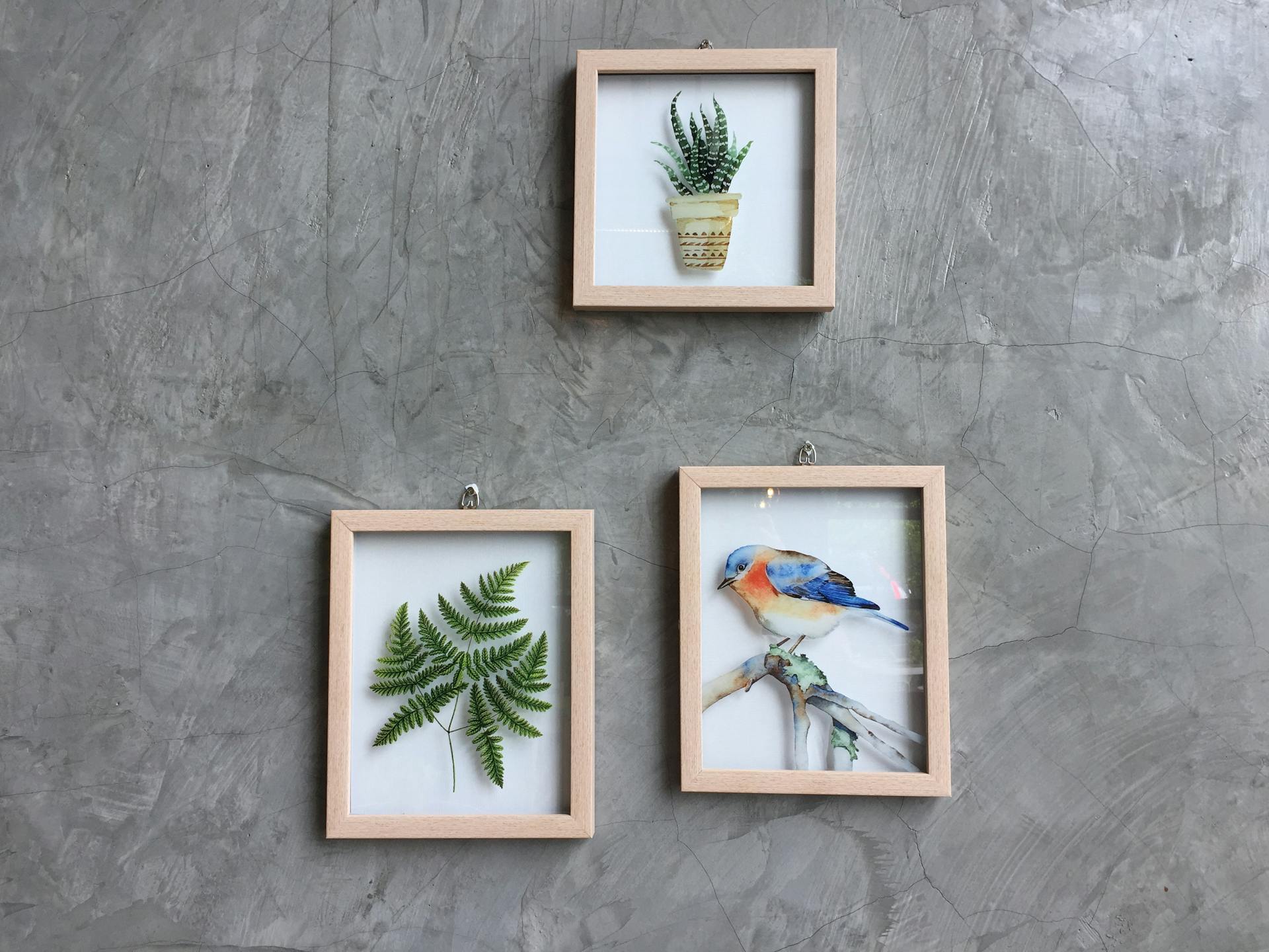 The Frame & Art Co Ltd